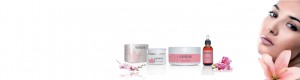 slide_leniderm1